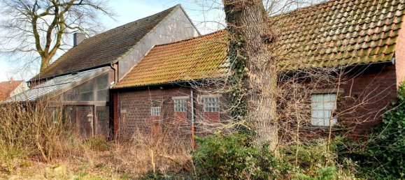 5-Zimmer Haus in Recklinghausen, Germany, Nr. 126351 7