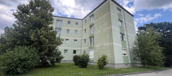 2-Zimmer Wohnung in Ebenfurth, Austria, Nr. 214696 14