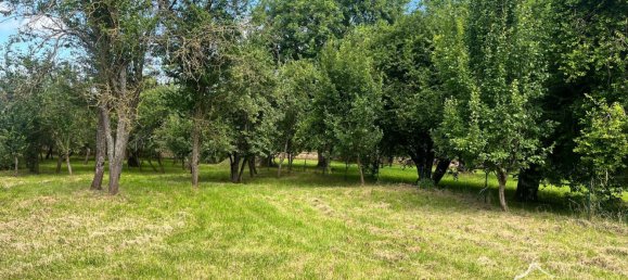 6 bedrooms House in Monceau-le-Neuf-et-Faucouzy, France No. 267290 20