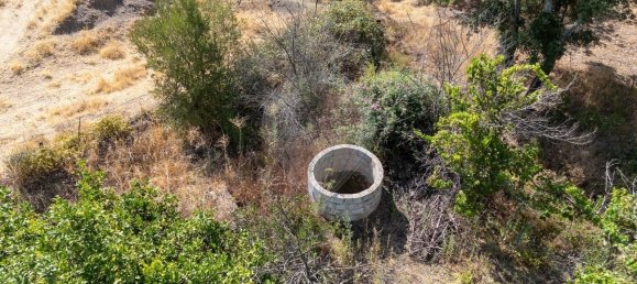 4 Schlafzimmer Grundstück in Mexilhoeira Grande, Portugal, Nr. 267992 5