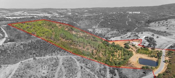 4 Schlafzimmer Grundstück in Mexilhoeira Grande, Portugal, Nr. 267992 19