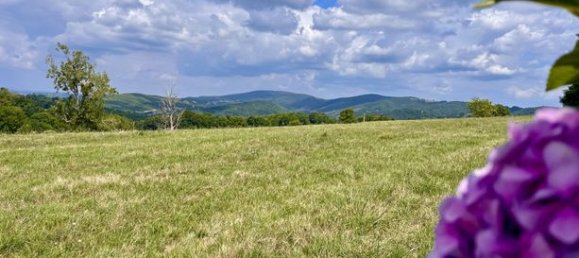 2358m² Land in Occitanie, France No. 284607 5
