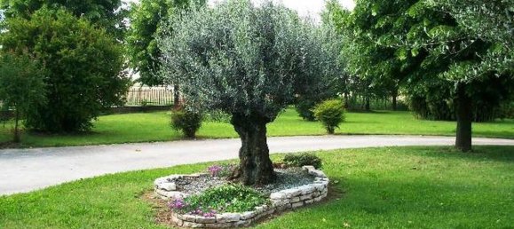 4 rooms Villa in Casaleone, Italy No. 31906 11