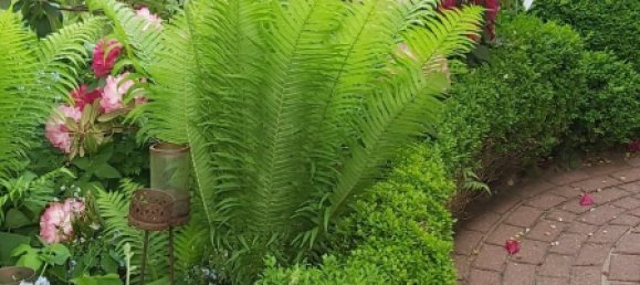 2 chambres Maison de ville à Harburg, Germany No. 176308 30