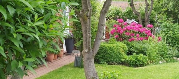 2 chambres Maison de ville à Harburg, Germany No. 176308 27