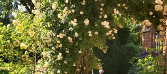 2 chambres Maison de ville à Harburg, Germany No. 176308 19