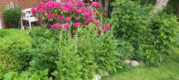 2 chambres Maison de ville à Harburg, Germany No. 176308 16