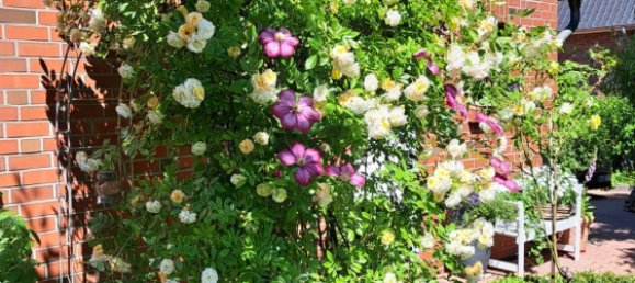 2 chambres Maison de ville à Harburg, Germany No. 176308 28