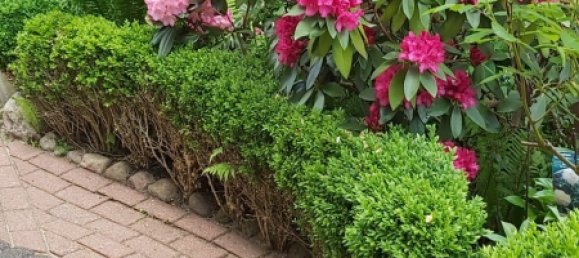 2 chambres Maison de ville à Harburg, Germany No. 176308 23