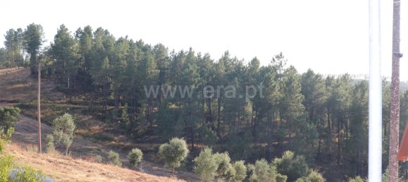 2 Schlafzimmer Haus in Abrantes, Portugal, Nr. 302820 19