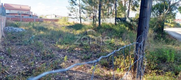 Земельный участок 629м² в Порту ди Мош, Португалия № 67286 5