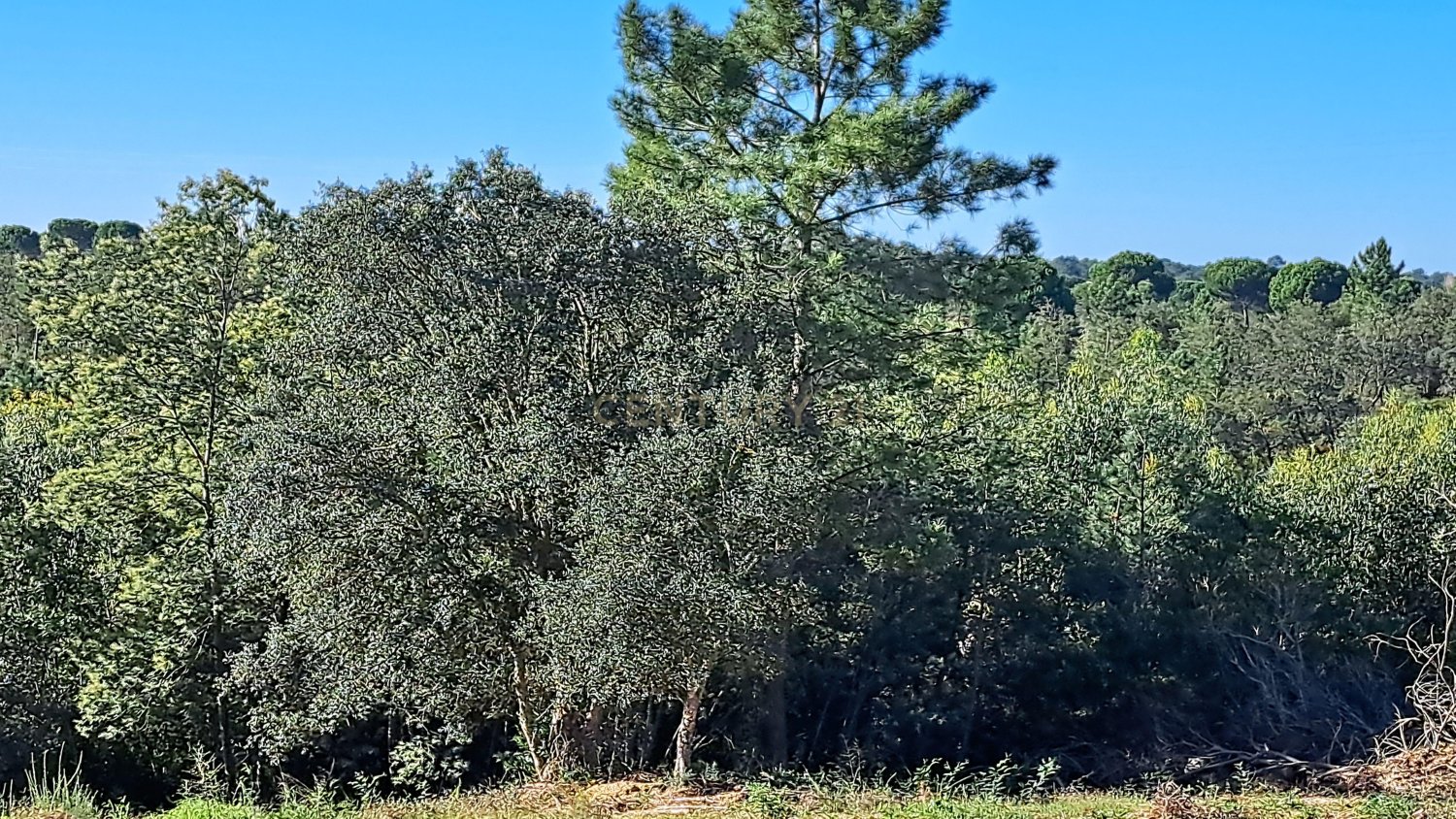  Land in Setubal, Portugal No. 268688