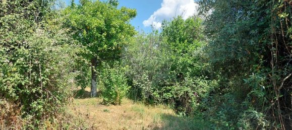 4 bedrooms House in Serta, Portugal No. 172351 19