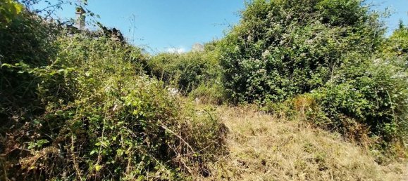 4 bedrooms House in Serta, Portugal No. 172351 18