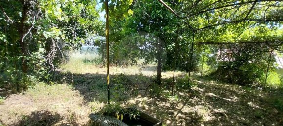 4 bedrooms House in Serta, Portugal No. 172351 16