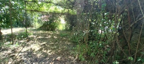 4 bedrooms House in Serta, Portugal No. 172351 17