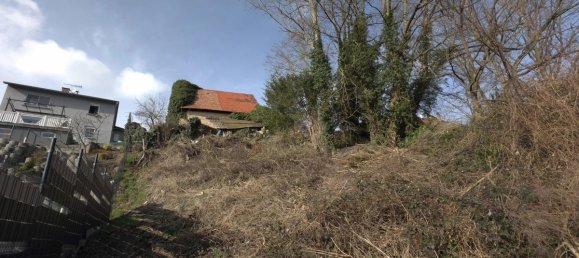 3 chambres Maison à Kaltenhouse, France No. 217622 2