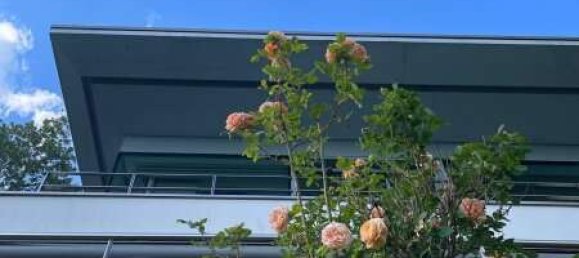 Villa de 8 habitaciónes en Rottal-Inn, Germany No. 173526 2