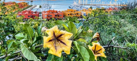 2 bedrooms Apartment in Portimao, Portugal No. 59431 15