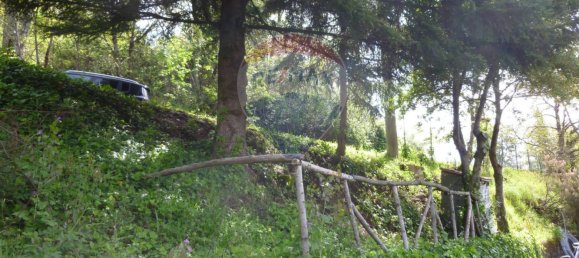 2 Schlafzimmer Haus in Marliana, Italy, Nr. 292967 6