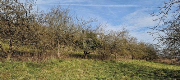 Terreno em Bad Schallerbach, Austria 4000 m² N.º 243582 3