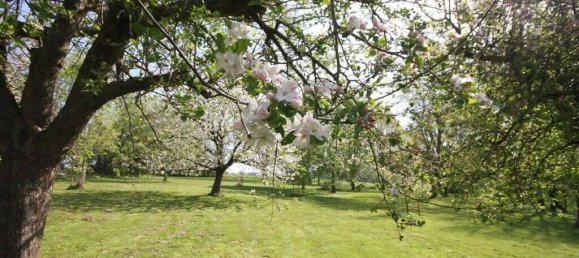 Casa de 10 divisões em Osnabruck, Germany N.º 183464 6