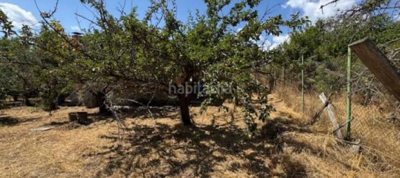 3 غرف نوم منزل في Madrid, Spain رقم 189723 25