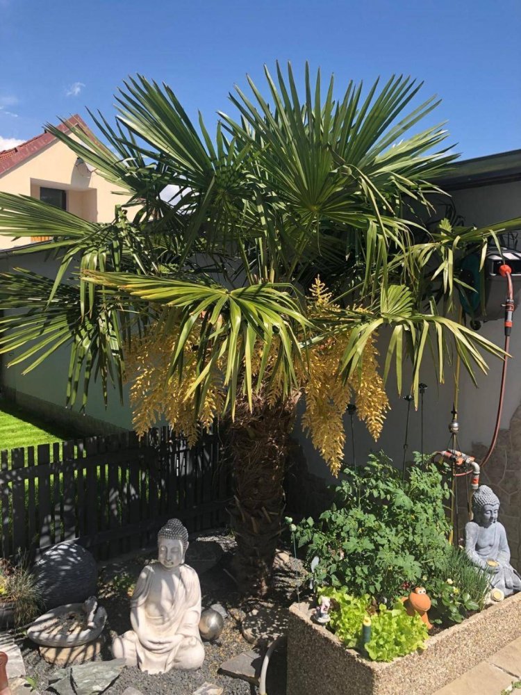 4 Schlafzimmer Haus in Großebersdorf, Austria, Nr. 140247