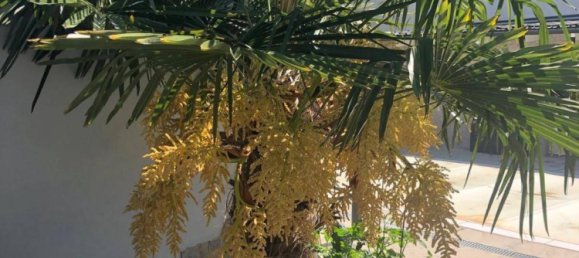 4 bedrooms House in Grossebersdorf, Austria No. 140247 11