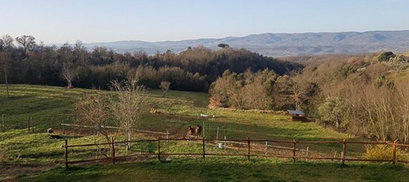 8 bedrooms House in Città della Pieve, Italy No. 54617 14