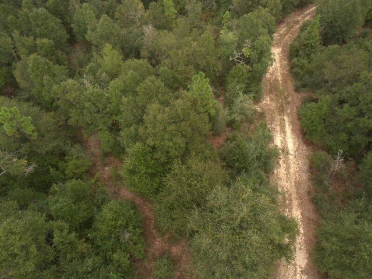 Grundstück in Holt, USA, Nr. 476922