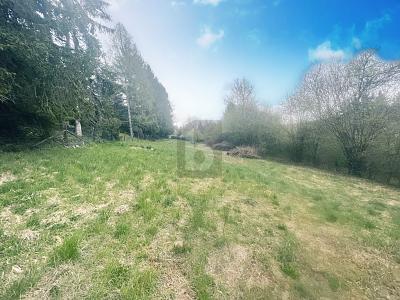 Terrain à Calw, Germany 1605m² No. 338023