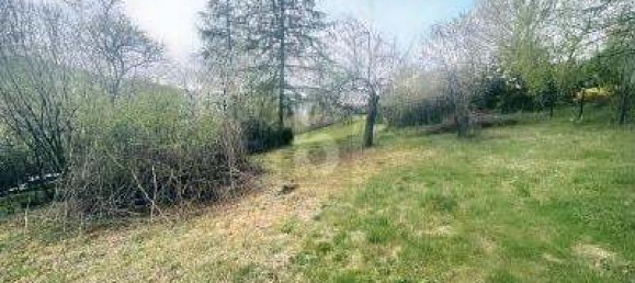 Terrain à Calw, Germany 1605m² No. 338023 2