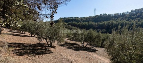 26000m² Land in Albolote, Spain No. 108060 11