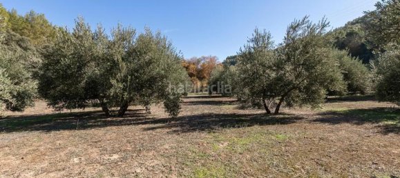 26000m² Land in Albolote, Spain No. 108060 2