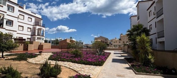 Penthouse T2 em Dehesa De Campoamor, Spain N.º 186314 26