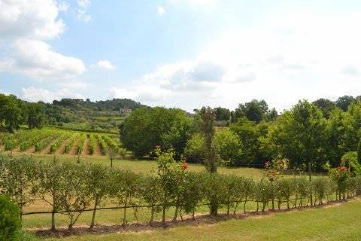 8 bedrooms House in Montecarlo, Italy No. 974