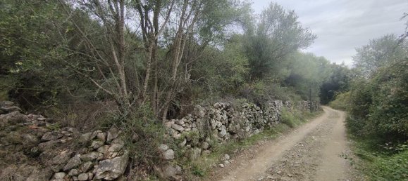 Земельный участок в Спелонкато, Франция № 85597 5