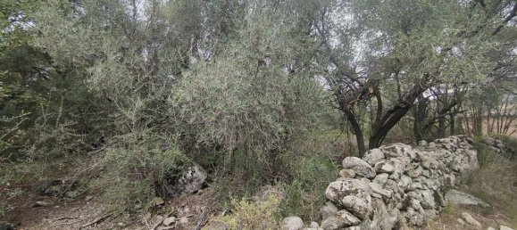 Земельный участок в Спелонкато, Франция № 85597 4