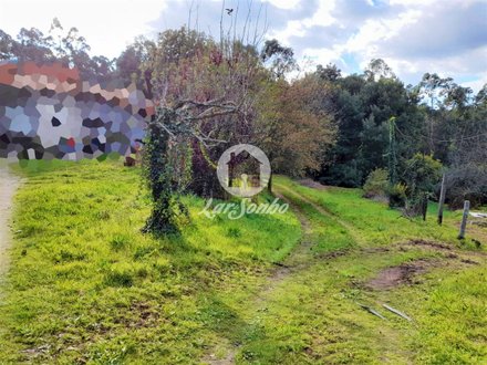 5 bedrooms House in Vila Nova de Famalicao, Portugal No. 51487