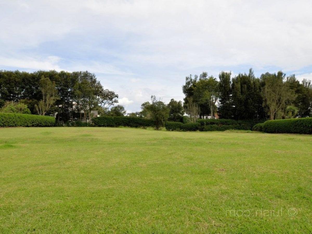  Land in Antioquia, Colombia No. 444