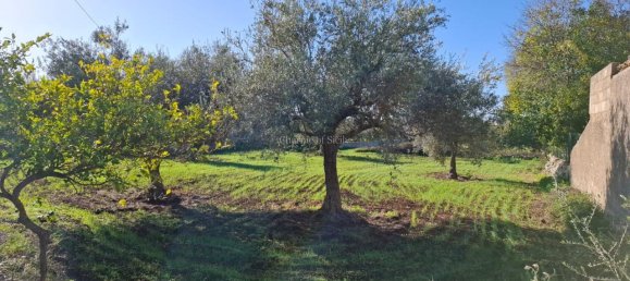 Terrain à Modica, Italy 4210m² No. 232736 3