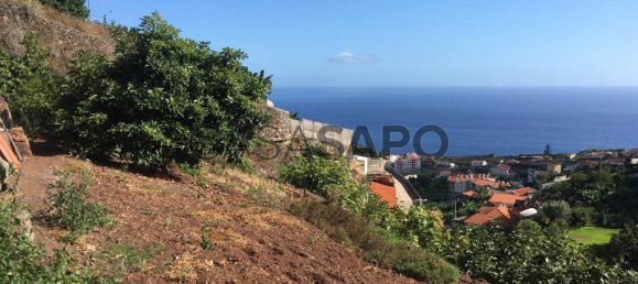 718m² Land in Camara de Lobos, Portugal No. 184472 8