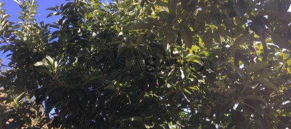 718m² Land in Camara de Lobos, Portugal No. 184472 12