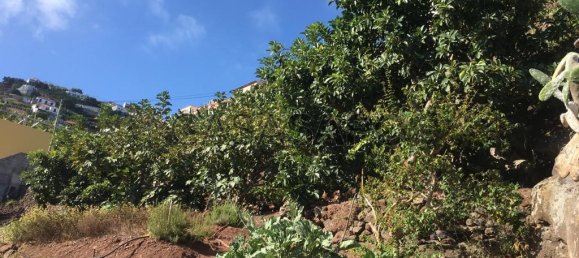 718m² Land in Camara de Lobos, Portugal No. 184472 15