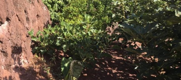 718m² Land in Camara de Lobos, Portugal No. 184472 10