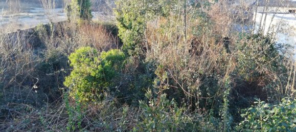 5 rooms Building in Isques, France No. 75133 6