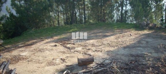 8500m² Land in Marco de Canaveses, Portugal No. 61811 6