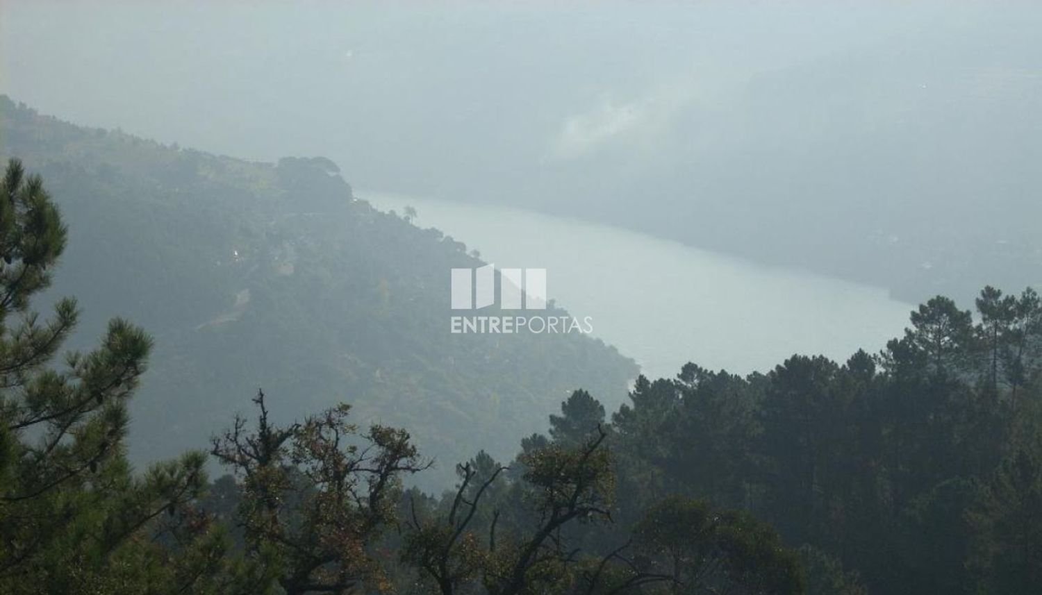 8500m² Land in Marco de Canaveses, Portugal No. 61811