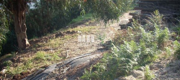 8500m² Land in Marco de Canaveses, Portugal No. 61811 7